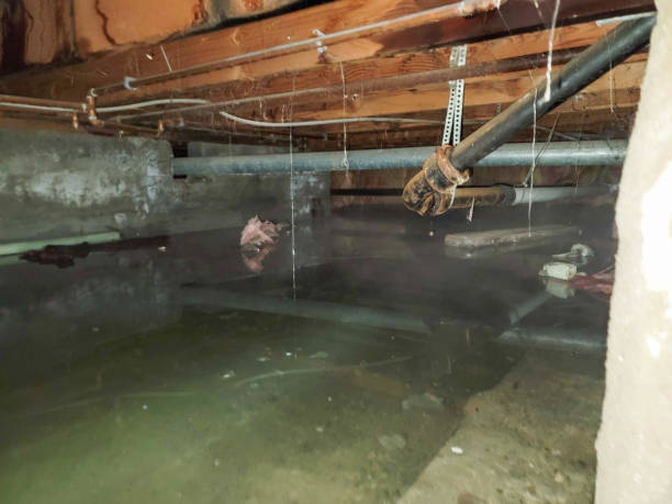 Best Water damage restoration services  in Claypool Hill, VA
