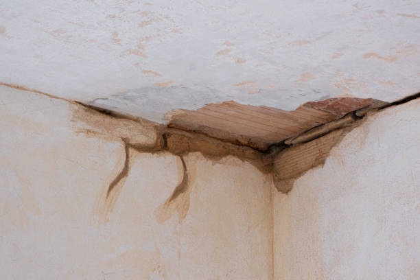 Best 24-hour water damage restoration  in Claypool Hill, VA