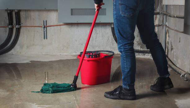 Best Flooded house restoration  in Claypool Hill, VA