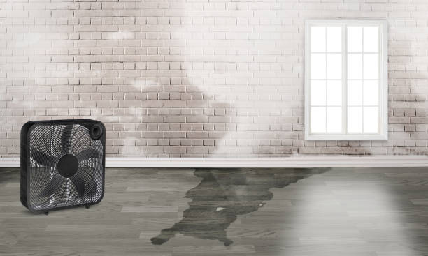 Best Emergency water damage restoration  in Claypool Hill, VA