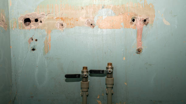Best Local water damage restoration  in Claypool Hill, VA