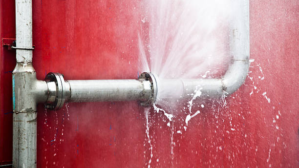 Best Water damage cleanup near me  in Claypool Hill, VA