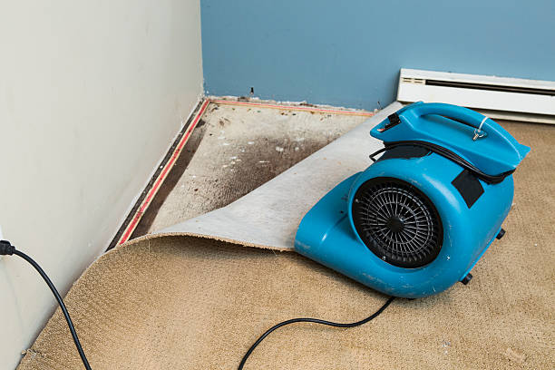 Water damage restoration experts in VA